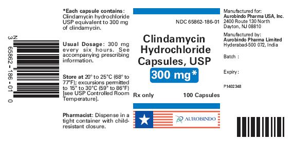 PACKAGE LABEL-PRINCIPAL DISPLAY PANEL – 300 mg (100 Capsule Bottle)