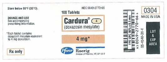 PRINCIPAL DISPLAY PANEL - 4 mg Bottle Label