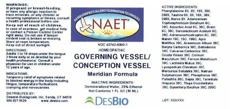 Governing Vessel Conception Vessel