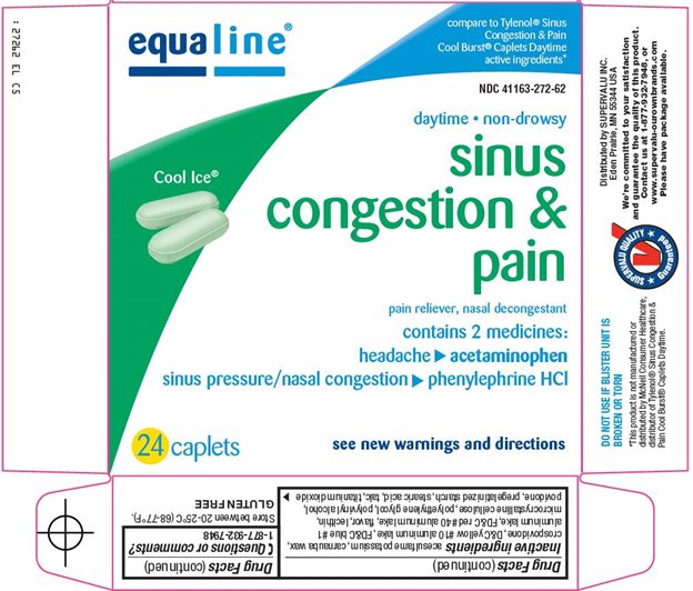 Sinus Congestion and Pain Carton Image 1
