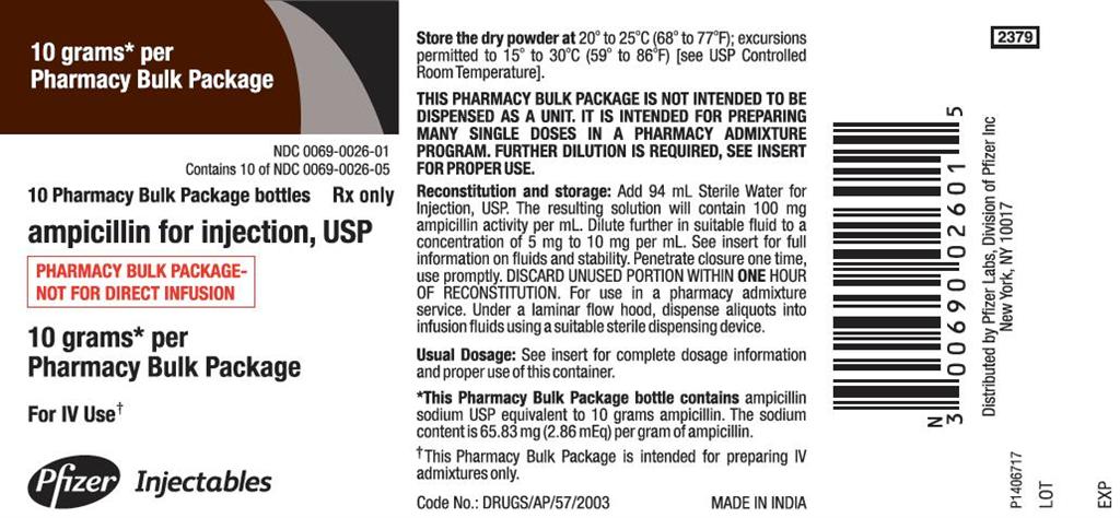 PACKAGE LABEL-PRINCIPAL DISPLAY PANEL – 10 g Pharmacy Bulk Package (10 Vials) Box Label