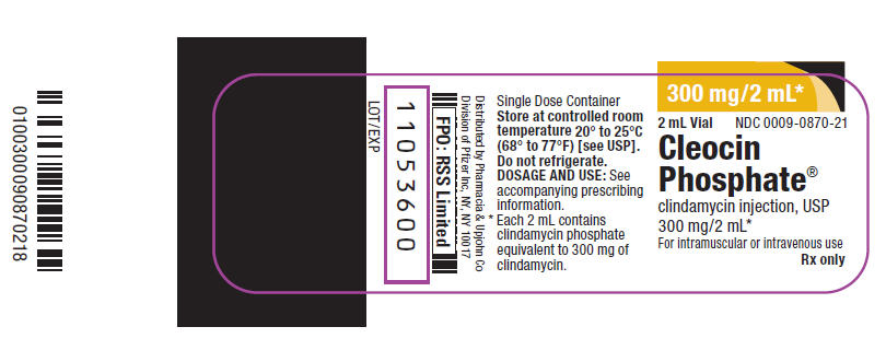 Principal Display Panel - 300 mg/2 mL Vial Label