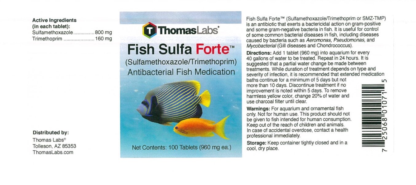 Fish Sulfa Forte 800-160mg 100 tablets