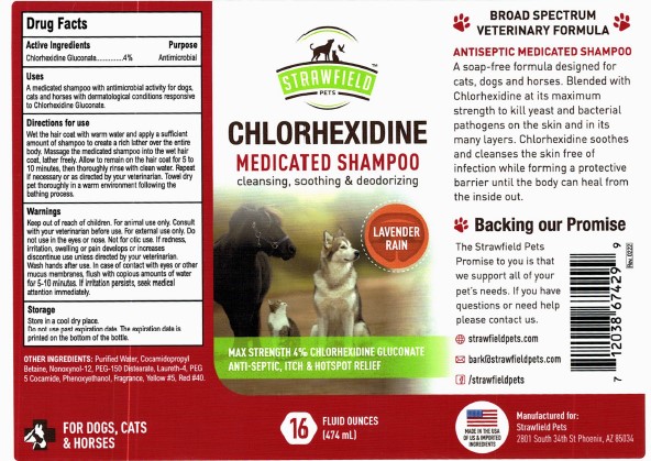 01b LBL_Chlorhexidine Shampoo (Reg)_474mL