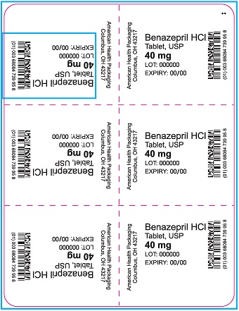 40 mg Benazepril HCl Tablets Blister
