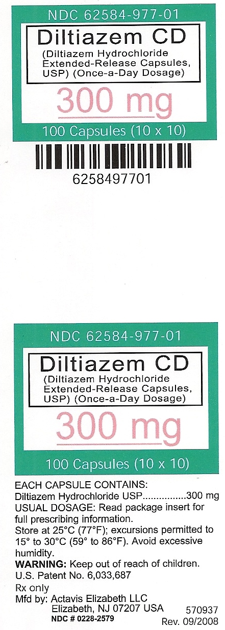 Diltiazem CD 300mg UD label