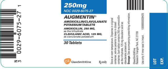 AUGMENTIN Tablets Label Image - 250mg