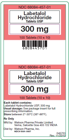 Pricipal Display Panel - 300 mg
