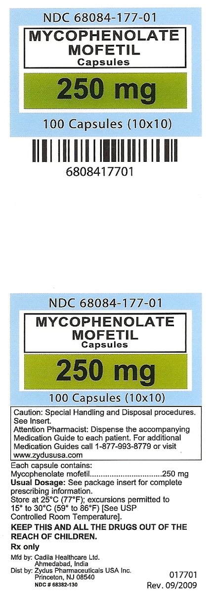 Mycophenolate Mofetil 250 mg  capsules 