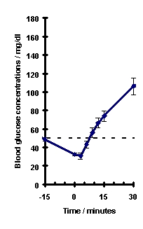 Graph showing blood glucose concentrations over time in minutes.