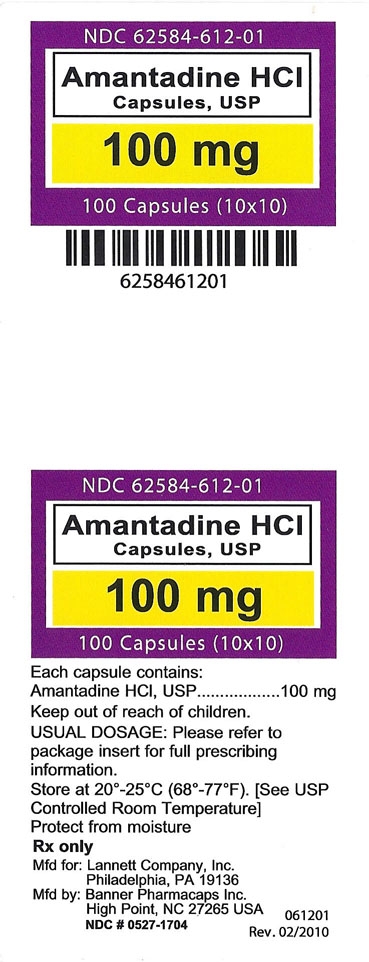 Amantadine HCl principal display panel