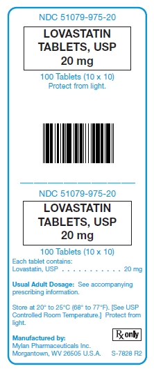 Lovastatin 20 mg Tablet Unit Carton Label