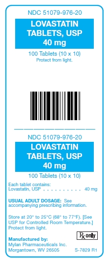 Lovastatin 40 mg Tablet Unit Carton Label