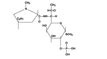 clindamycin phosphate chemical structure