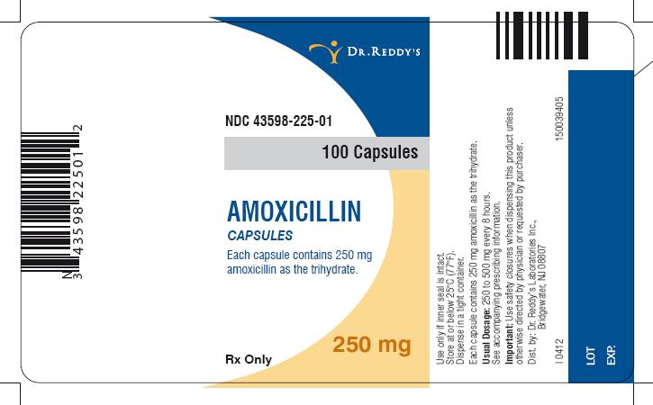 Amoxicillin Capsules Label Image - 250 mg, 100 capsules