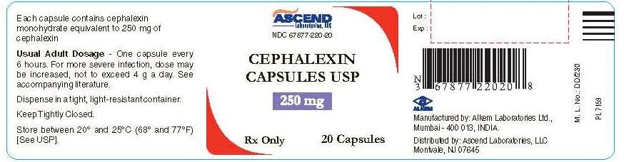 Cephalexin 250 mg capsules-Container Lable
