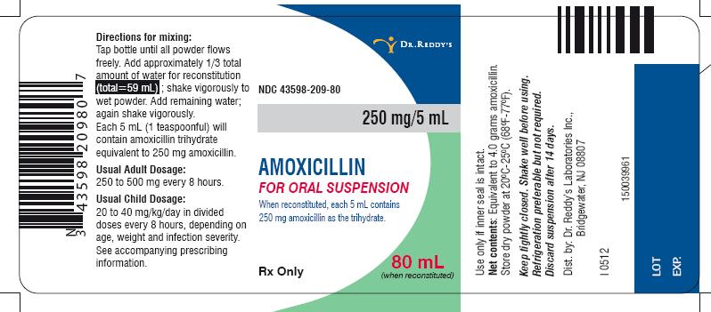 Amoxicillin Powder for Oral Suspension Label Image - 250 mg/5 mL, 80 mL