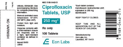 Ciprofloxacin Tablets, 250 mg x 100 Tablets - Label