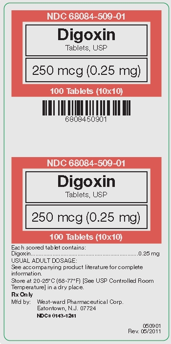 Digoxin 250 mcg (0.25 mg) display panel