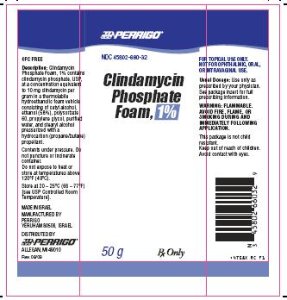 Clindamycin Phosphate Foam, 1% 50 g Label Image