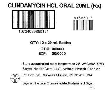 Clindamycin Oral Liquid 12 x 20mL Die Cut Shipper