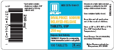 Divalproex Sodium Delayed-Release Tablets 250 mg Bottles