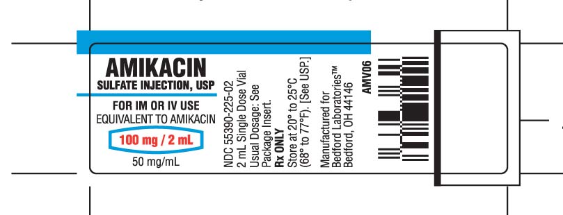 Vial label for Amikacin 100 mg per 2 mL