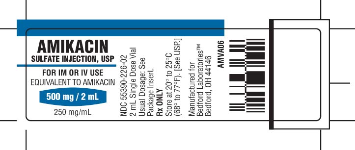 Vial label for Amikacin 500 mg per 2 mL