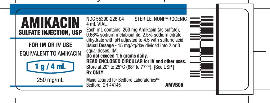 Vial label for Amikacin 1 gram per 4 mL