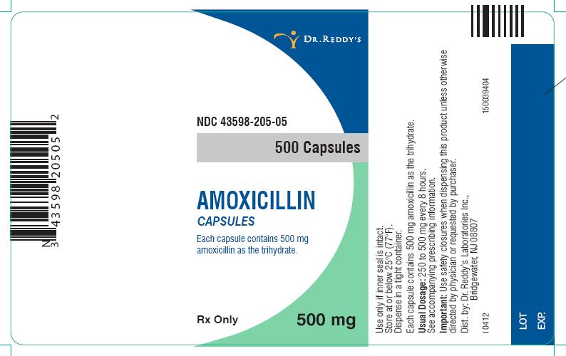Amoxicillin Capsules Label Image - 500 mg, 500 capsules