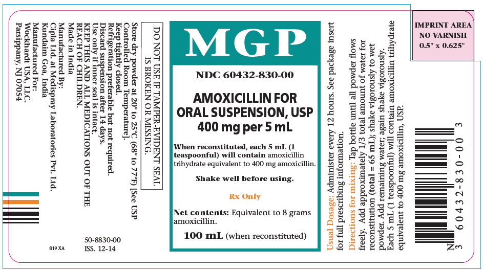 amoxicillin-02
