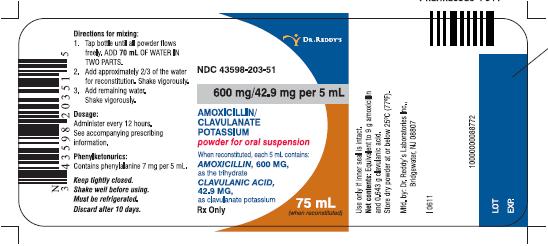 Amoxicillin and Clavulanate Potassium for Oral Suspension Label Image - 600mg/5mL