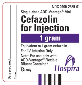 Cefazolin 1 g Label