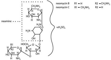 Fera Pharmaceuticals Neomycin Sulfate Structural Formula