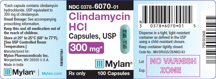Clindamycin HCI Capsules 300 mg Bottle Labels