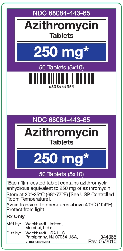 Azithromycin 250 mg label
