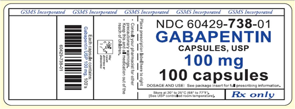 Label - Gabapentin - 100 mg