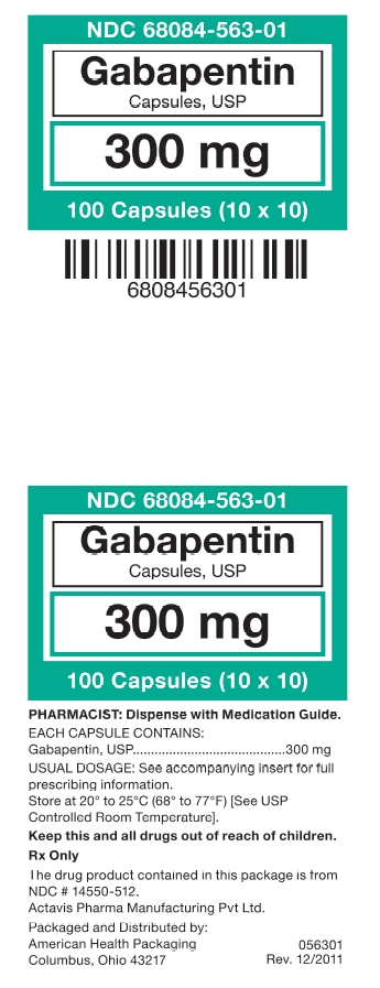 Gabapentin 300 mg Capsules, USP - (10x10) 
