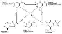 Allopurinol Structural Formula 2