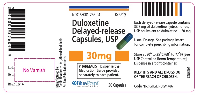 Duloxetine Delayed Release Capsules 30 mg 30 Capsules