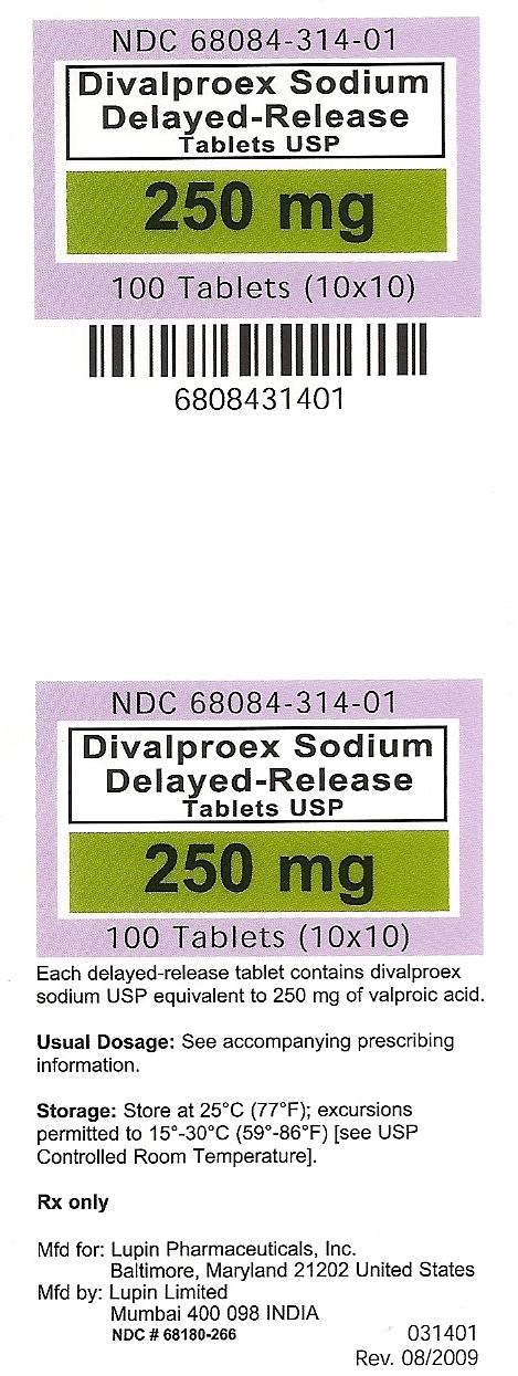 Divalproex Sodium Delayed-Release Tablets USP 250 mg label
