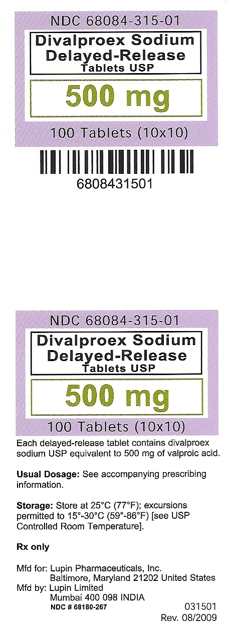 Divalproex Sodium Delayed-Release Tablets USP 500 mg label