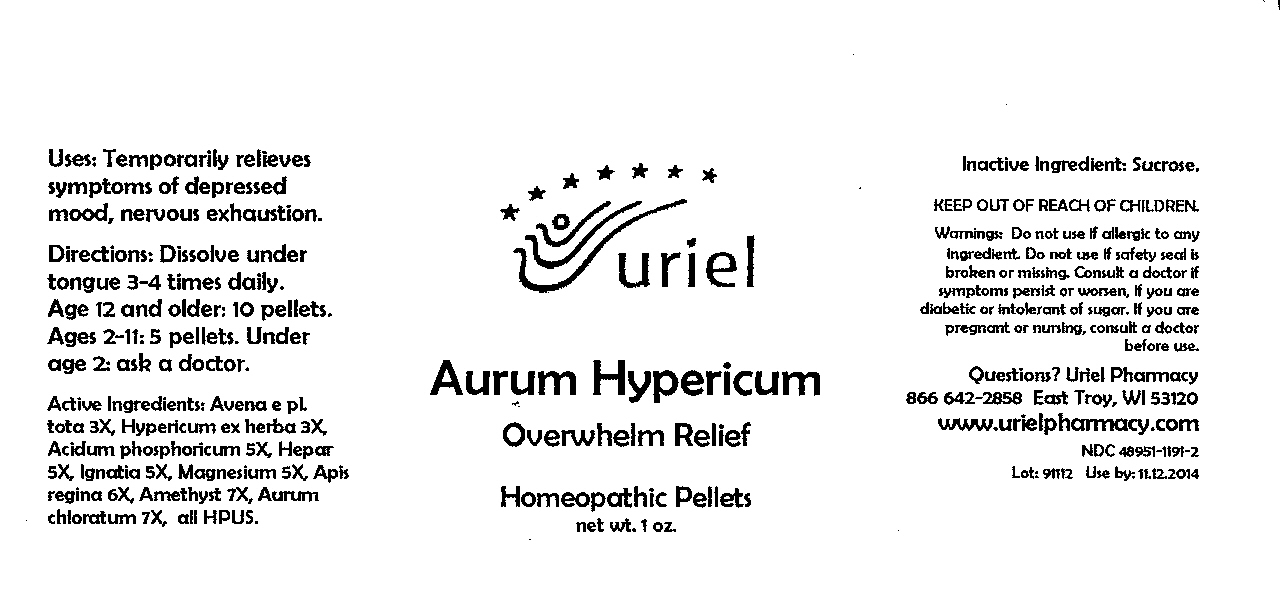 aurum hypericum pellets bottle label