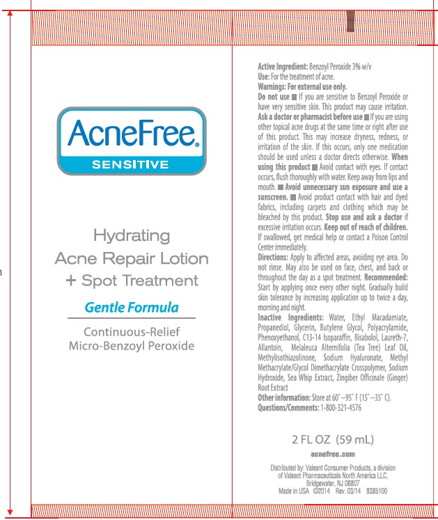 AcneFree Hydrating Acne Repair Lotion and Spot Treatment