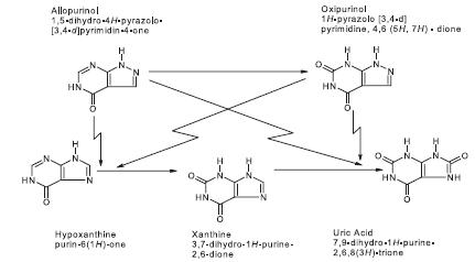 Allupurinol Inhibitory Pathway