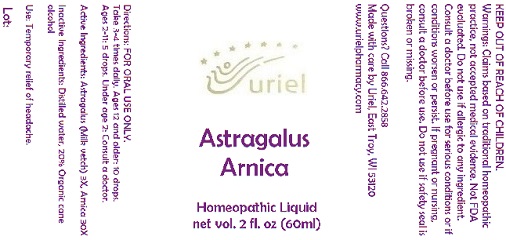AstragalusArnicaLiquid
