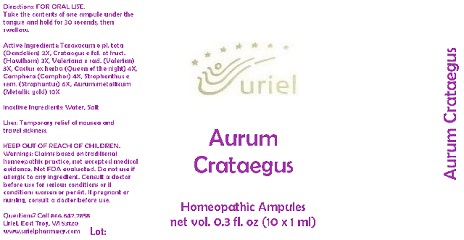 AurumCrataegusAmpule