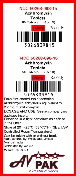 Azithromycin 250mg UD Label