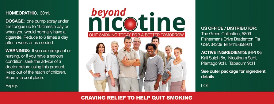 nicotin front