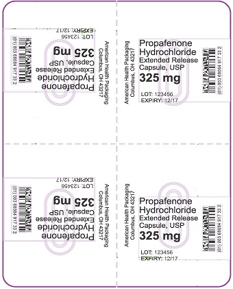325 mg Propafenone Hydrochloride Extended Release Capsule Blister